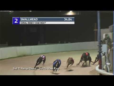 2021 CORAL ESSEX VASE - HEAT 4 - T2 SMALLMEAD