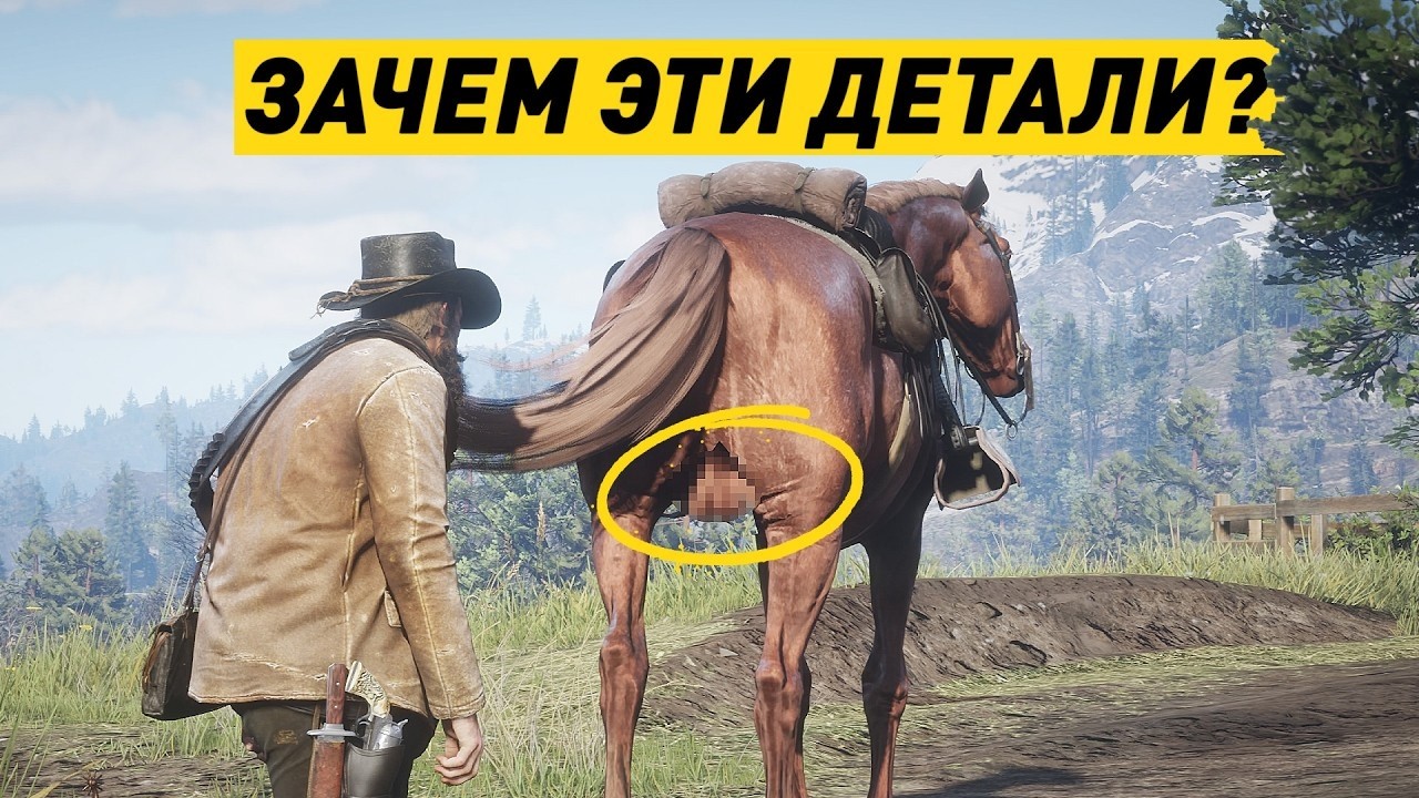 ��������� ����� �� ����� - ��� ������ ����