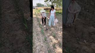 Fertilizer application with wheelbarrow 