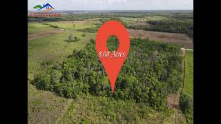 8 Acres Farmland for Sale in Belize Real Estate buy and sell properties in Belize