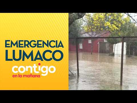 "COMPLETAMENTE INUNDADO": La emergencia agrícola por anegamiento en Lumaco - Contigo en la Mañana