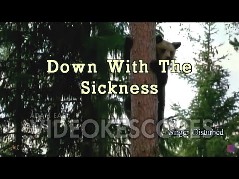 Disturbed - Down With The Sickness (Karaoke/Lyrics/Instrumental)