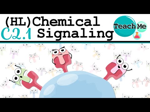 (C2.1) - Chemical Signalling - IB Biology (HL)