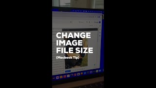 Change File Sizes on Mac (2022 Tutorial)