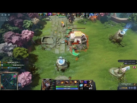 Dota 2 WTF by SS NET GAMING full match