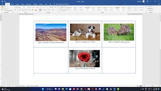 How to insert Images into a table in Word Document