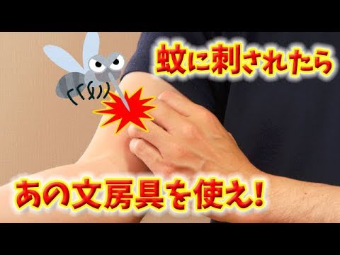 蚊に刺された場合の最良の家庭療法 トピックス
