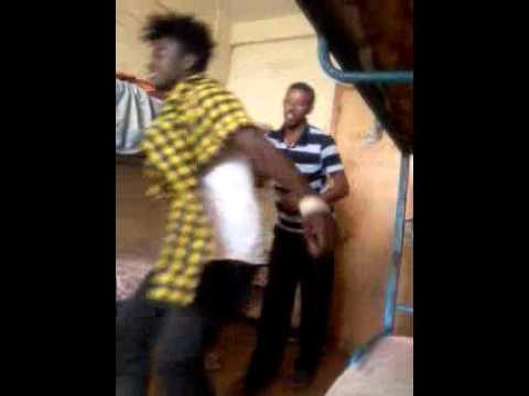 mastawesh 2007 in dorm