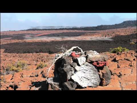 Stand Up and Rise - One Rhythm