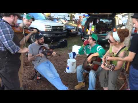 Who's Been Giving These Idiots Corn?