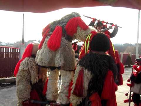 malanca mijlocie din stroiesti,suceava la familia Valean.....