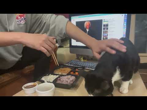 Dinner with Gypsy Cat (Feat. Jose Carloss Jamie 3rd)