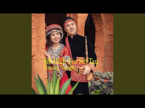 Sib Hlub Tsis Sib Tau