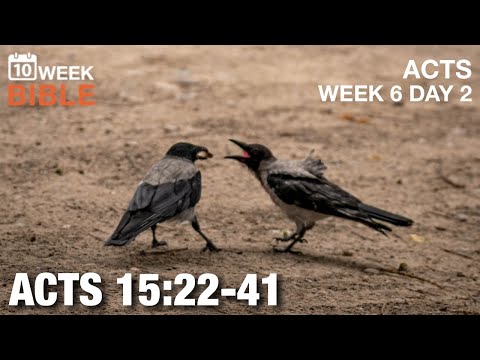Paul & Barnabas Disagree | Acts 15:22-41 | Week 6 Day 2 Study of Acts