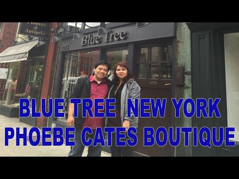 NEW YORK CITY   |  SNEAK PEEK  |  BLUE TREE  |  BOUTIQUE OWNED BY PHOEBE CATES