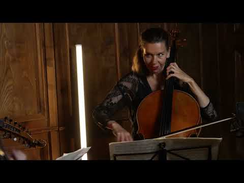 Janáček String Quartet No.2 "Intimate Letters" 2nd mov. (with viola d'amore !)
