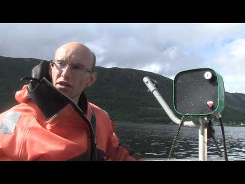 The secret life of sea trout