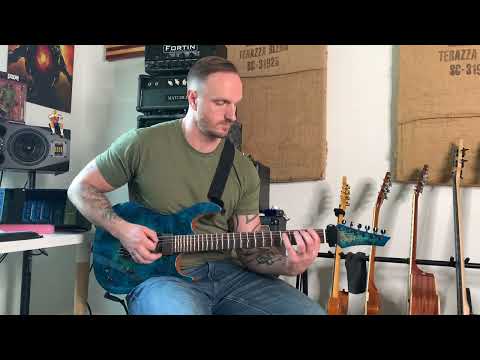 Neural DSP Archetype Petrucci - Demo