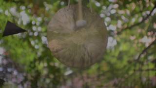 Truth Within - White Sun - Chattra Chakkra Varti