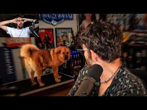 YOUTUBE IS WILD FOR THIS..