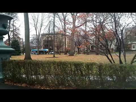 Chilln in Williamsport PA