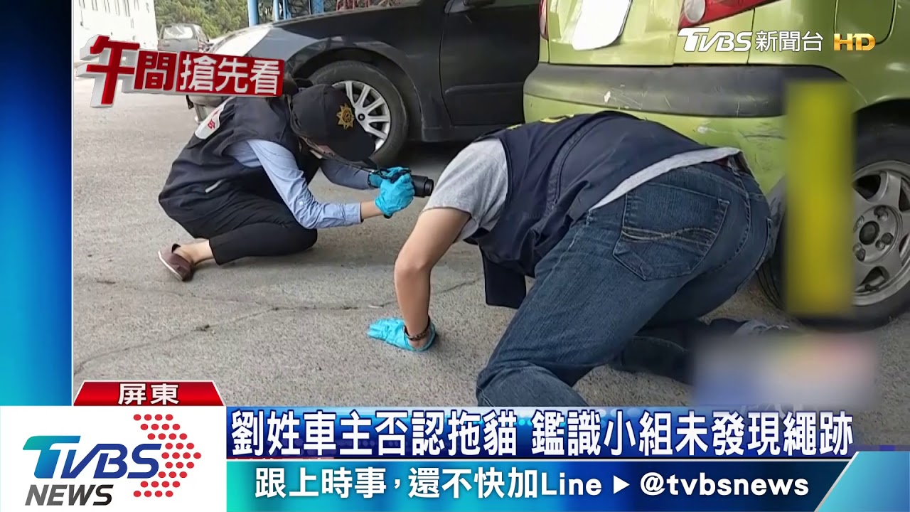 轎車綁繩拖行貓! 照片曝光網友怒搜車主