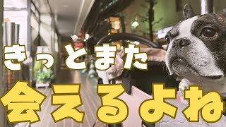 お別れを伝えに行った結果、出直しになった😓