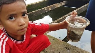 Gunakan Tombak Rakitan Sejumlah Bocah Tangkap Udang Lobster