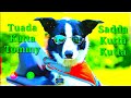 Tuada Kutta Tommy Saddam Kutta Kutta Kutta Kutta Ringtone Ragering Ringtone