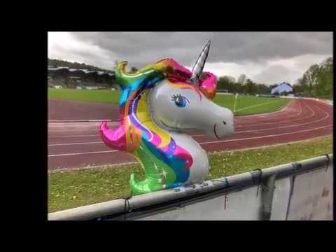 Pyro, Choreos, Konfetti - TSV 1861 Nördlingen - Rückblick Saison 2016/17, Landesliga Südwest Fußball