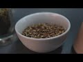 BEER IN THE WOODS CINEMATIC FILM