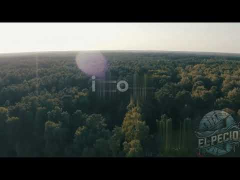 NAiture (Official∞Pecio)