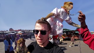 Don't Get Tricked in Marrakesh! 🇲🇦 - YouTube
