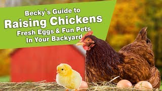 Becky's Guide to Raising Chickens - Fresh Eggs & Fun Pets In Your Backyard