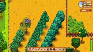 What is Explosion during night thing - Stardew Valley