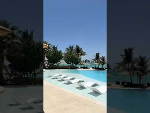 Saiyaara -Movie: Saiyaara Title Song | Ahaan panday, Aneet padda |#saiyaara #barbaad #dhun #humsafar