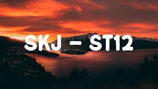 Download lagu SKJ - ST12 ( Lirik) mp3