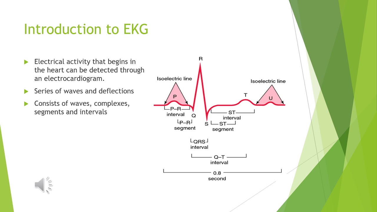 Basic EKG Powerpoint WMV
