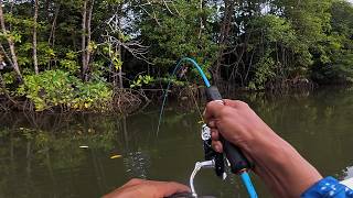 Download lagu My Big Shrimp Bait Was Caught by a White Snapper mp3 Download lagu My Big Shrimp Bait Was Caught by a White Snapper mp3