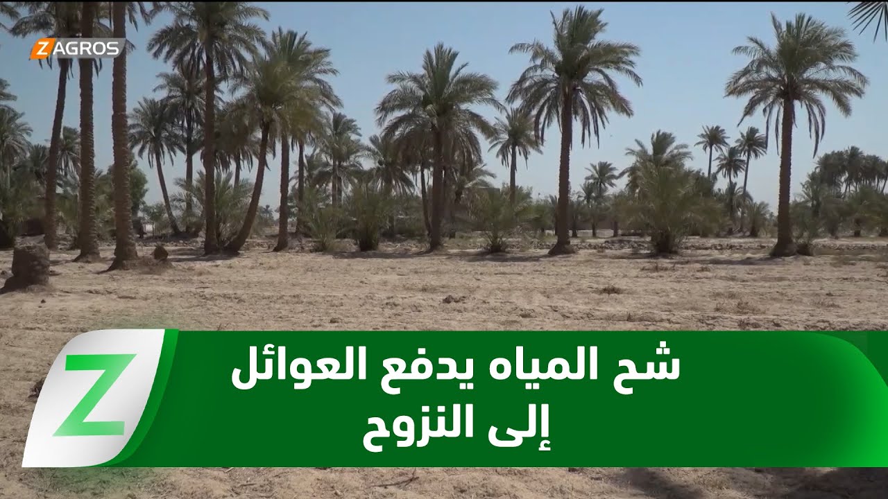 فيديو | بابل..   شح المياه وأزمة الجفاف ويدفع العوائل إلى النزوح