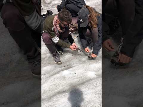 #Crampon #safety #crampons #crevasse #shorts