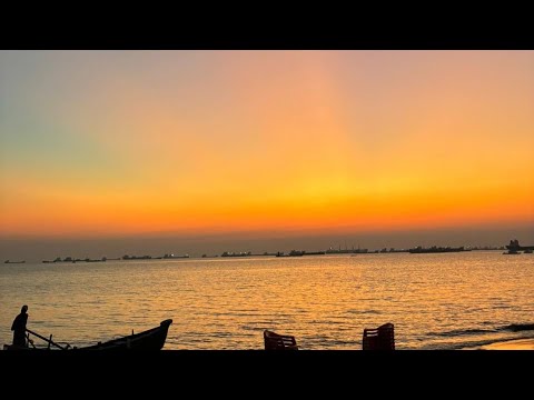 Random clips of nature🍃