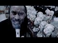 The Bollweevils "Predisposition" (OFFICIAL VIDEO)