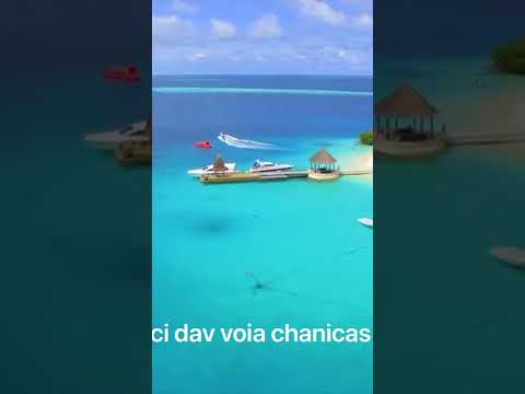 parry•doar tuia vastestar sea i viata