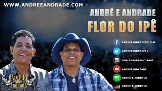 videos - mqdefault - Videos