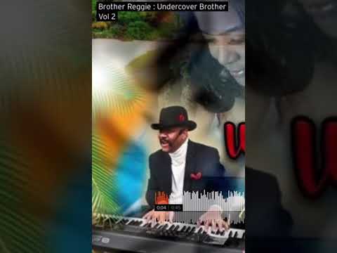 Promotional video thumbnail 1 for The Brother Reggie Solo Show! Jazz / R&B