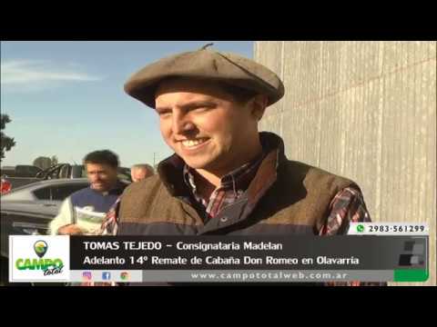 Tomas Tejedo de Madelan - Adelanto Remate Don Romeo