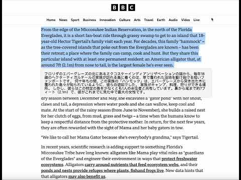 Item video thumbnail