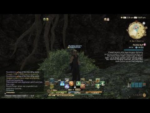 Old World Fig seed farm 2AM/2PM ET from Tailfeather