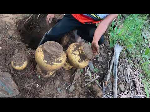 #shorts huge golden jars found